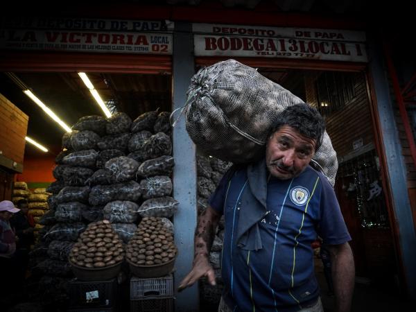 Value of the basic basket was reduced in January: this is costing a city by city