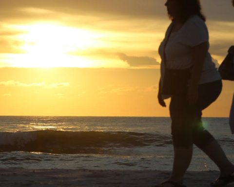 60% of adults and a third of children and adolescents will have overweight or obesity in 2050