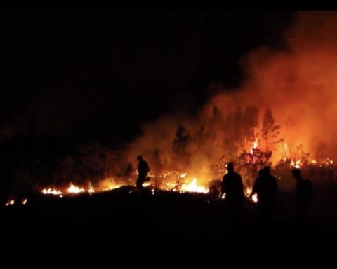 A fire in Pinar del Río Calcina more than 300 hectares in three days