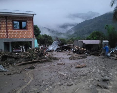 A mazamorra generates damage in a community of Apollo