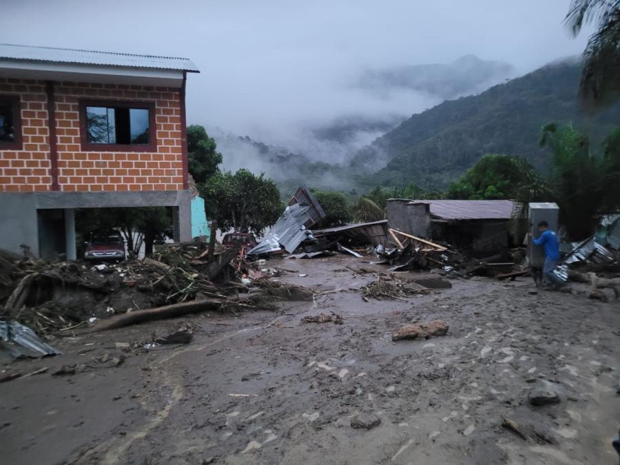 A mazamorra generates damage in a community of Apollo