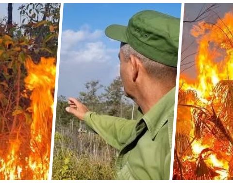 Incendios forestales en Mantua, Pinar del Río