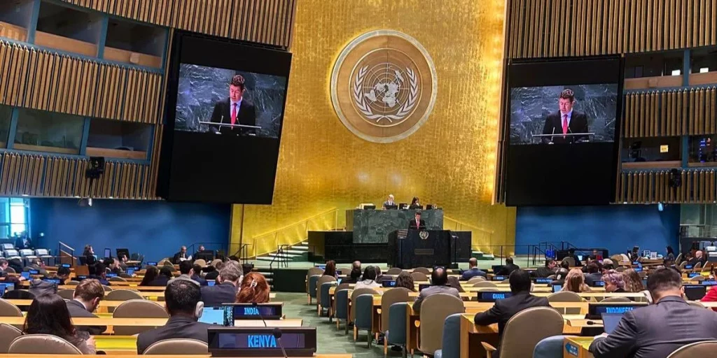 Asamblea General de Naciones Unidas