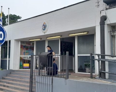 Assisted free program