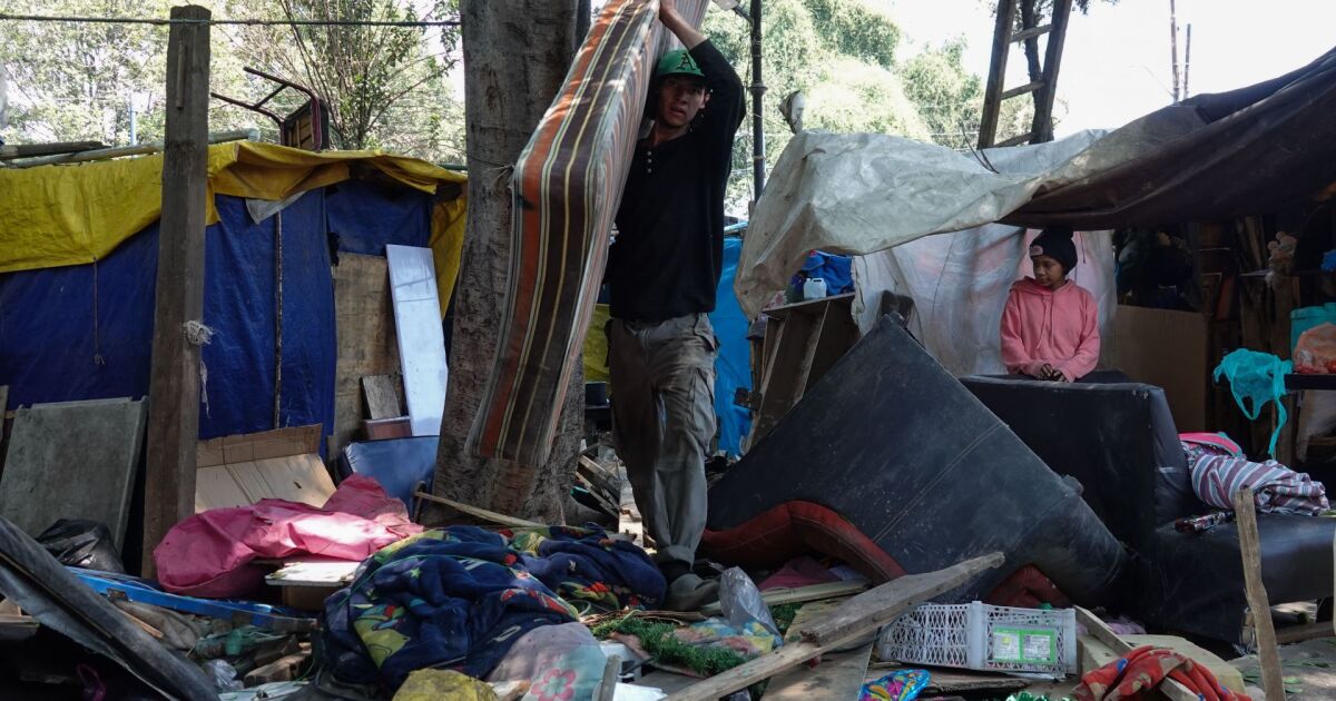 CDMX: confirm the discovery of remains of two men in migrant excess