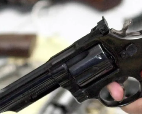 Chamber Commission approves gun possession to bailiffs