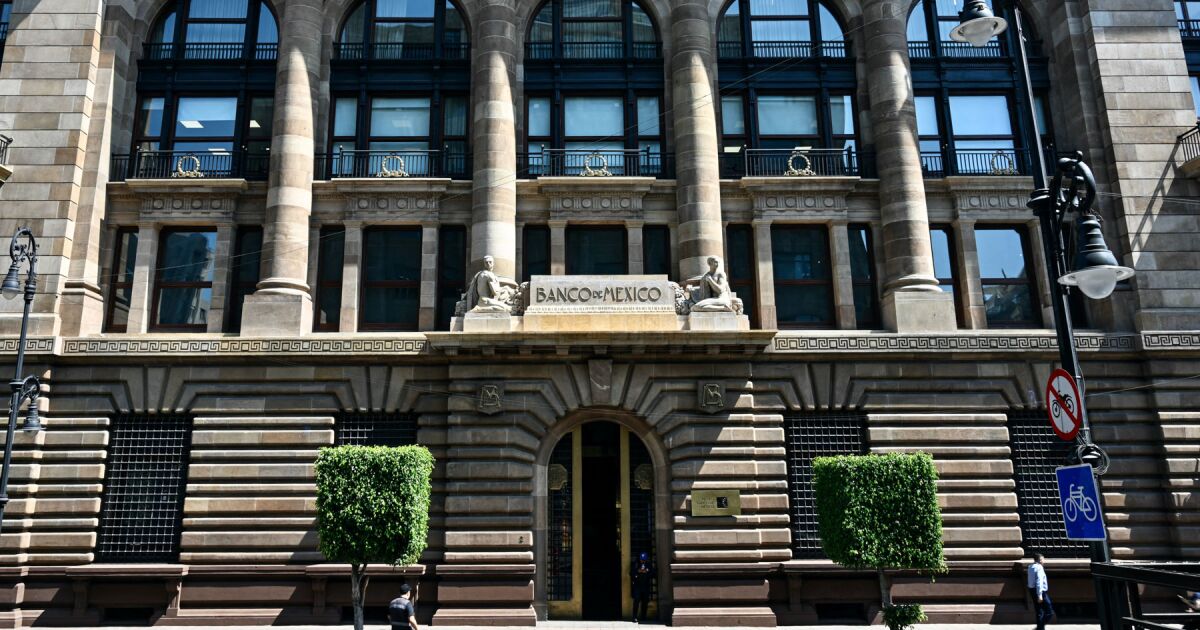 Citi estimates that Banxico will give remnants of 170,000 MDP; They represent 0.5% of GDP