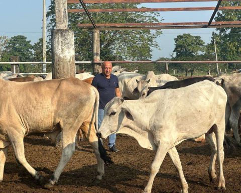 Court issued a new arrest warrant for extortion to the farmer Waldo Rujano