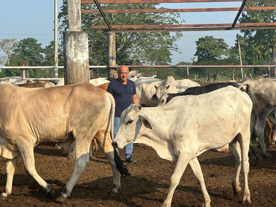 Court issued a new arrest warrant for extortion to the farmer Waldo Rujano