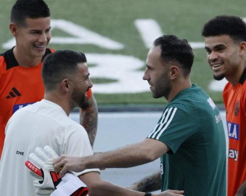 David Villa, along with James and Luis Díaz in Colombia's training
