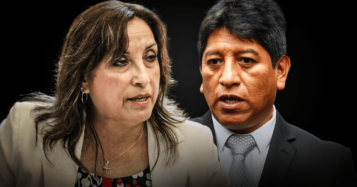 Dina Boluarte: Ombudsman raised before the TC that only Congress can investigate the president