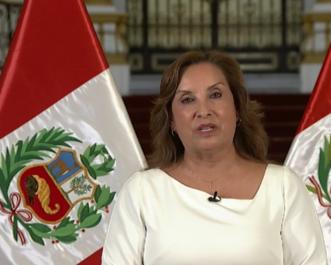 Dina after death of the Pope: "Let's find in his example the guide to serve with humility"