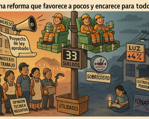 Distribution of profits in the electricity sector: work justice or excessive privilege?