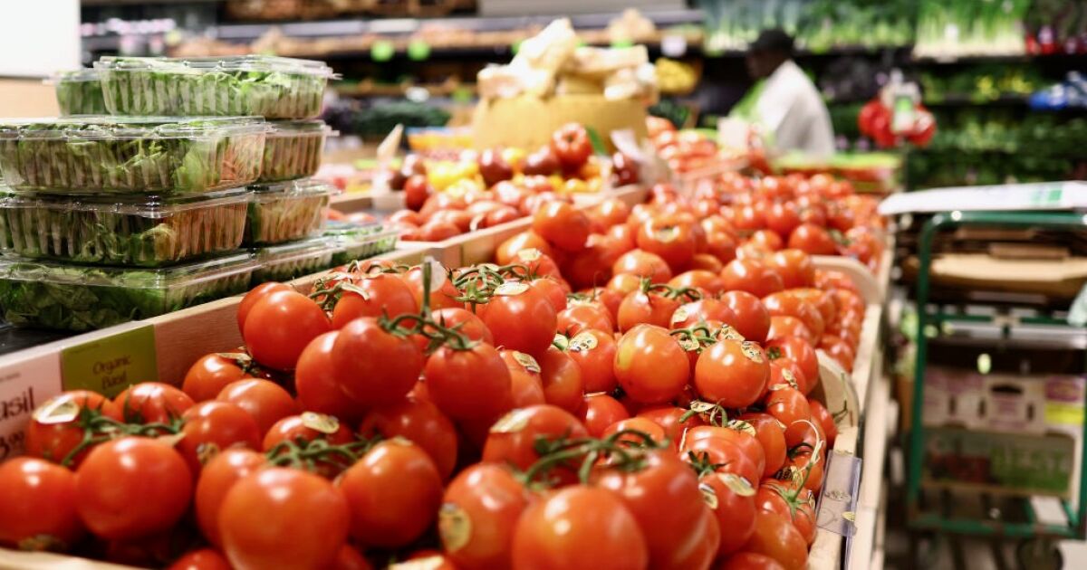 EU will impose 21% tariff to Mexican tomatoes since July