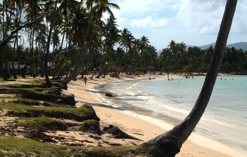 Playa El Aserradero: Emerge como un tesoro natural en Las Galeras de Samaná ideal en vacaciones