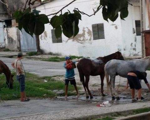 Exemplary judgment for a horsepower with behavior "unjustified" In Guantanamo