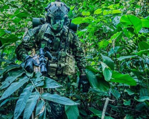 Fighting between Army and ELN troops in Catatumbo leave two dead guerrillas