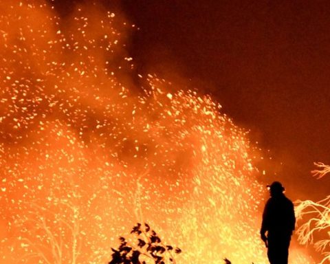 Forest Fire in New Jersey can become the largest in the state