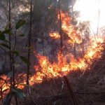 Forest fire continues to grow in San Juan and Martínez, with six other assets in Pinar del Río