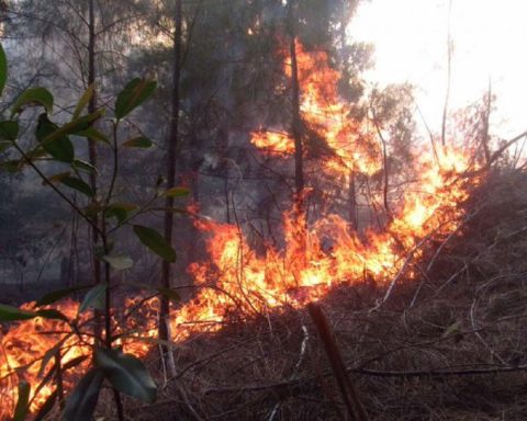 Forest fire continues to grow in San Juan and Martínez, with six other assets in Pinar del Río