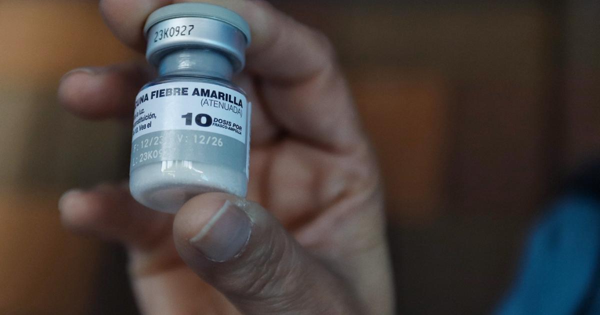 Girardot Mayor's Office canceled the Viacrucis of Good Friday in the first case of yellow fever