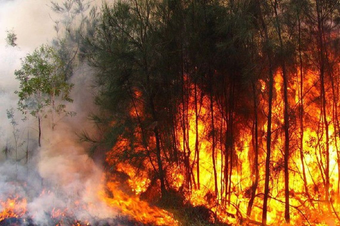 “High complexity” fire in the forest area of ​​Pinar del Río