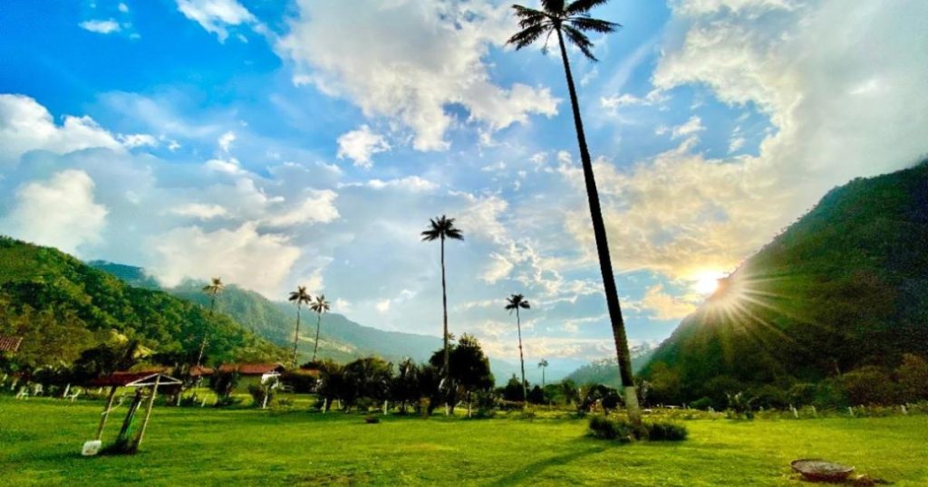 Large deployment of the police to avoid use of wax palm on Ramos Domingo