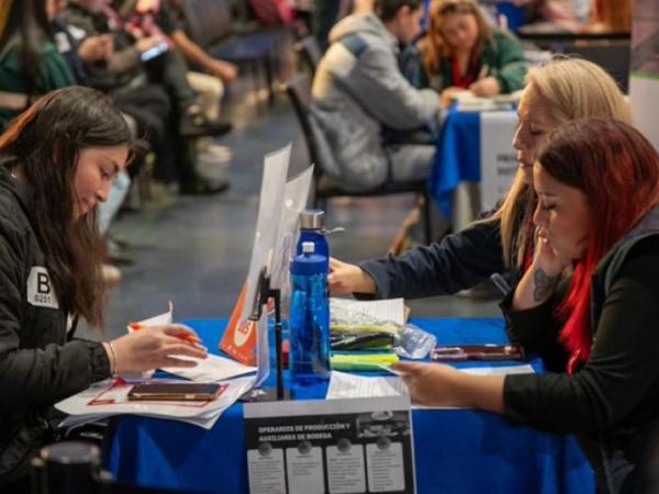 Looking for employment? Bogotá has 100 vacancies for a position that does not require experience