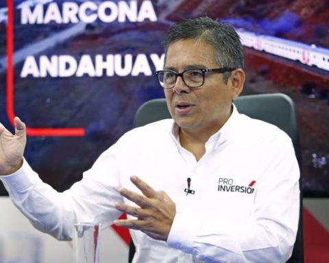 Luis Natal del Carpio names as president of Fonafe