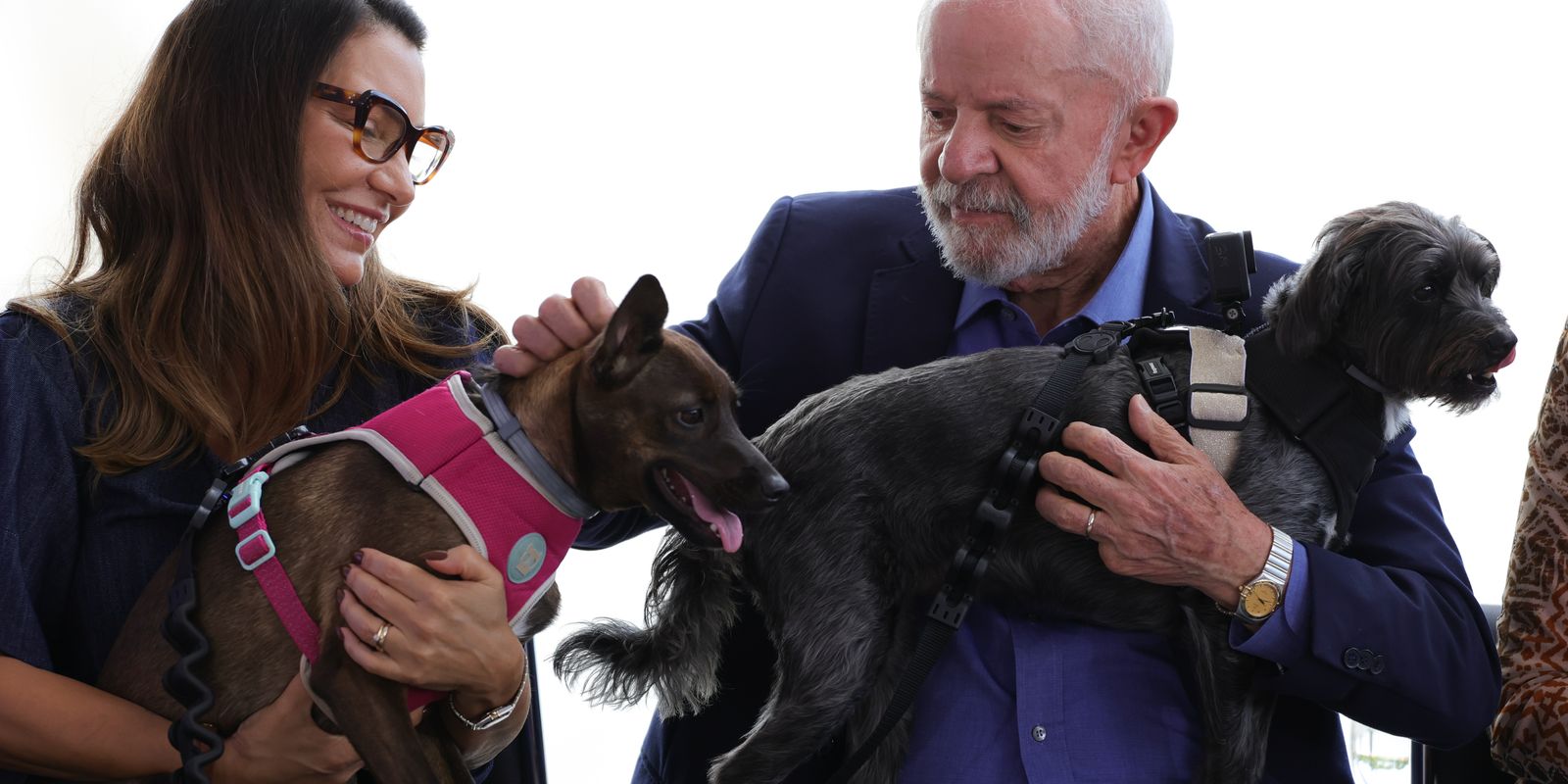 Lula launches Dog and Cat Protection and Protection Program