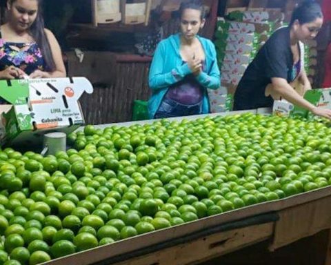 Make salsita, but without a lemon, which is very expensive