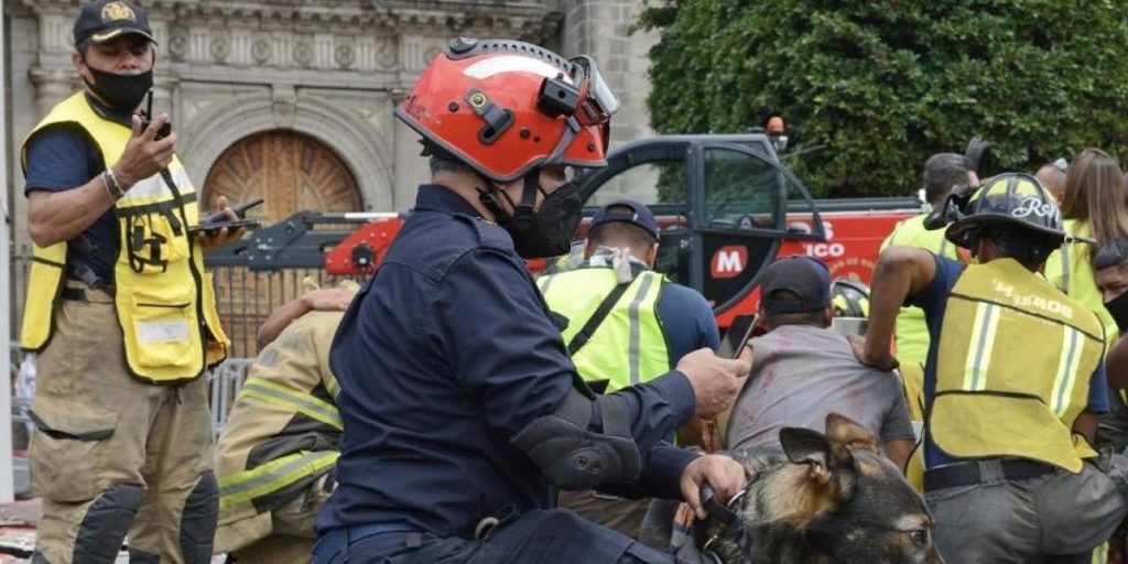 National simulation 2025: time, recommendations and why it is important