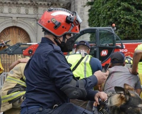 National simulation 2025: time, recommendations and why it is important