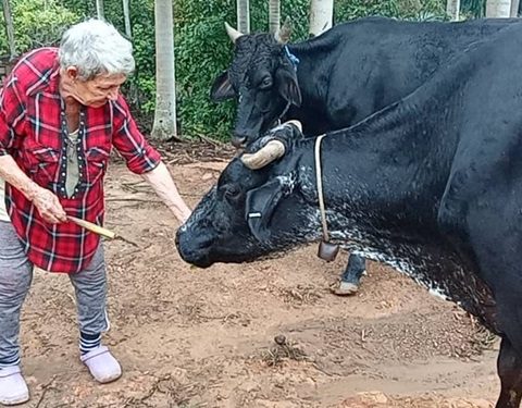 Isabel Urquiola, Omara Ruiz Urquiola. Ariel Ruiz Urquiola, Minagri, Seguridad del Estado