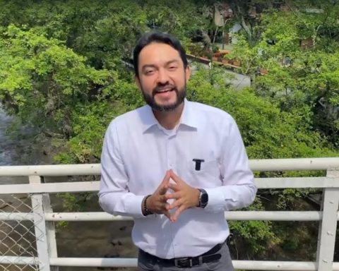 Offensive cessation against FARC dissidents would favor illegal economies: it warns of an analyst