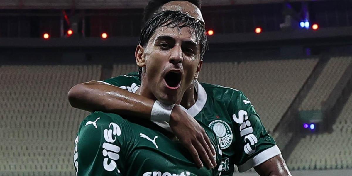 Palmeiras wins and snatches the lead to the flamengo