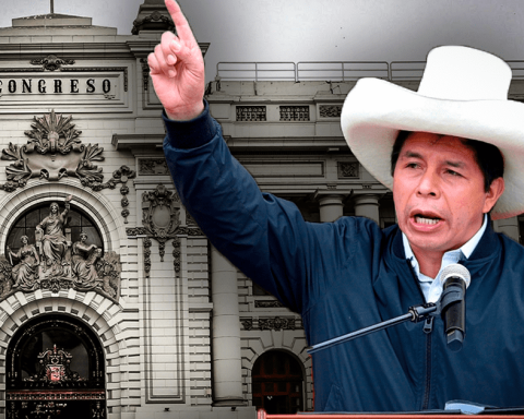 Pedro Castillo to the Senate: the leftist matches that would seek to join their ranks