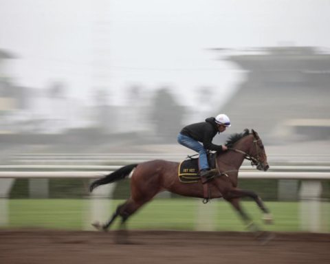 Peruvian equestrian gallop strongly: bets grow almost 5% in the first quarter of 2025