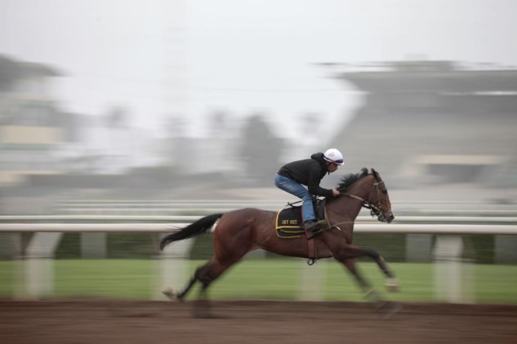 Peruvian equestrian gallop strongly: bets grow almost 5% in the first quarter of 2025