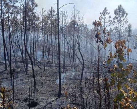 Pinar del Río fails to control a fire that has consumed 1,200 hectares of forest