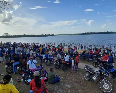 Pirañas attacked 17 people in San Pedro de Tumeremo reservoir