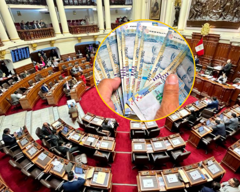 Plenary of Congress approves by majority the 100% release of the CTS