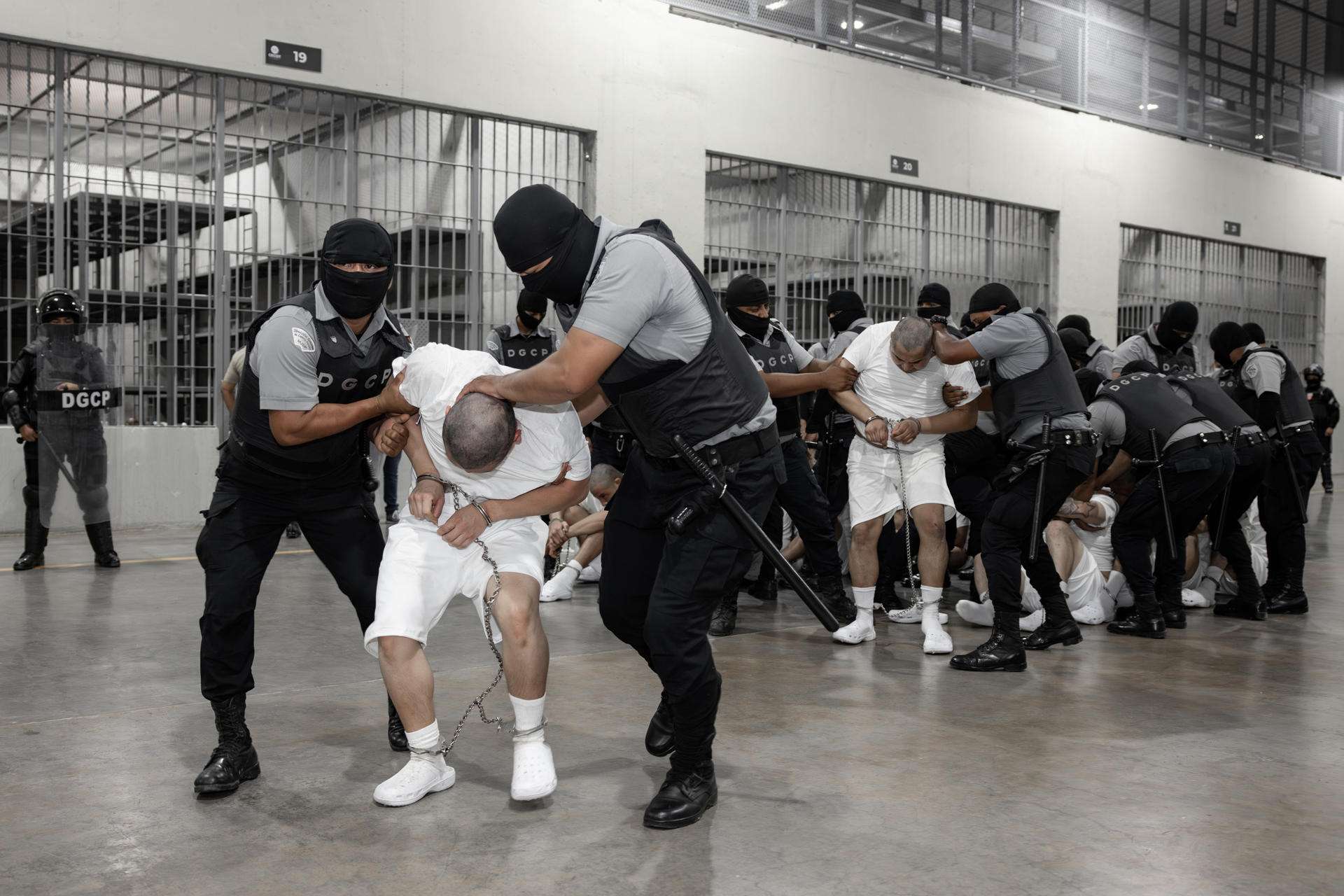President Petro rejected Venezuelan diaspora criminalization