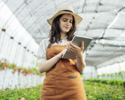 Private capital funds go for university projects