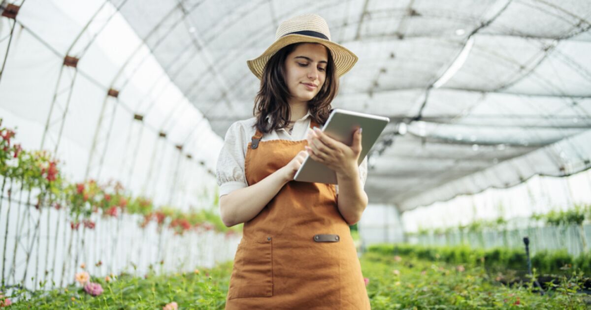 Private capital funds go for university projects