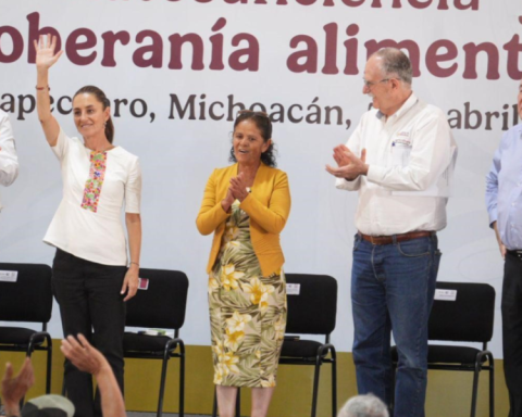 Program reaping sovereignty will be short; Mexico will have to import 54% of the corn that will consume