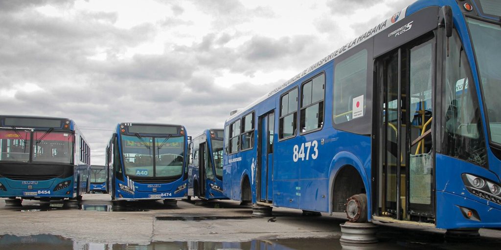 Flota de ómnibus de La Habana