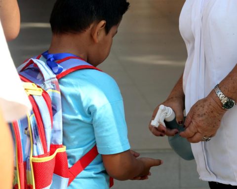 Santa Cruz confirms ten deaths from influenza and Tarija records two