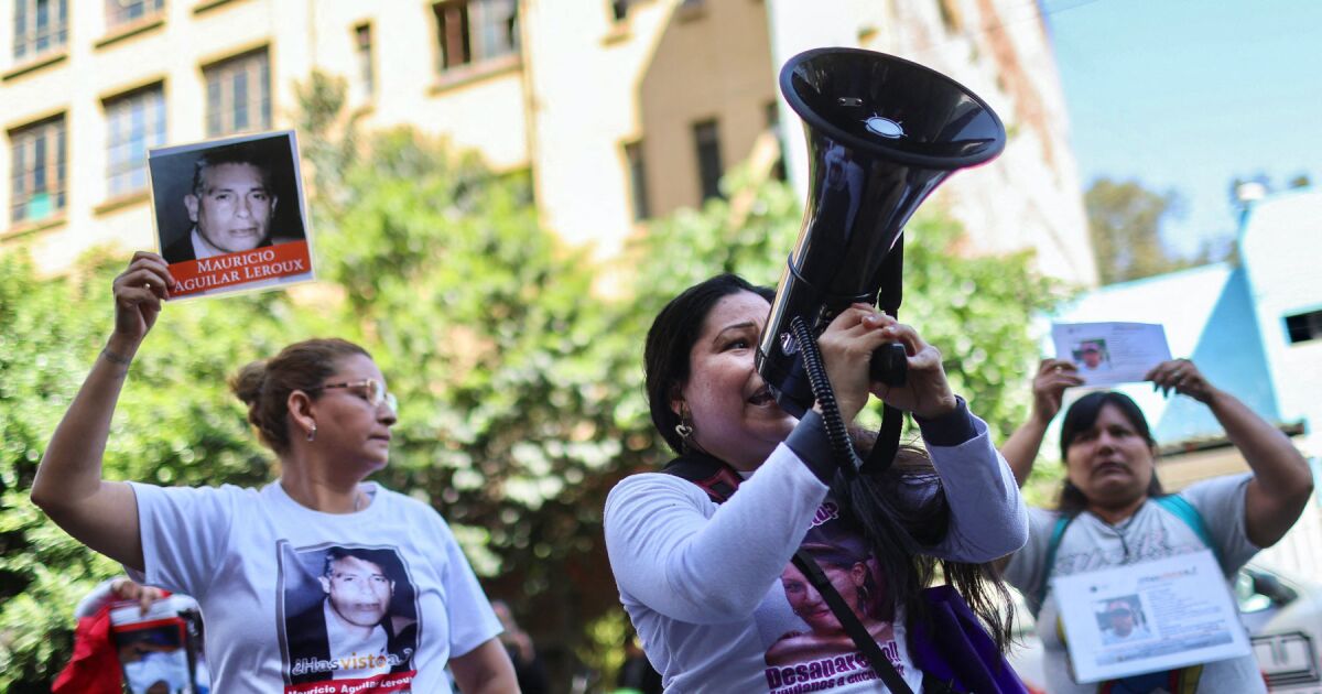 Search engines ask more than a panic button; They look for law similar to Colombia