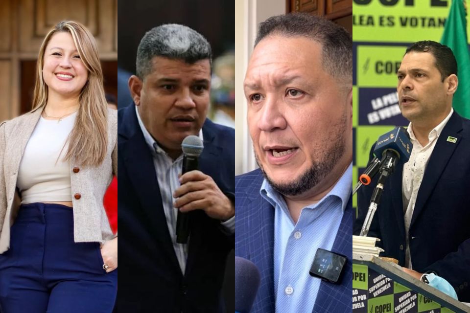 Some actors in the democratic alliance do not want to run out of goat or mecrate "on 25m